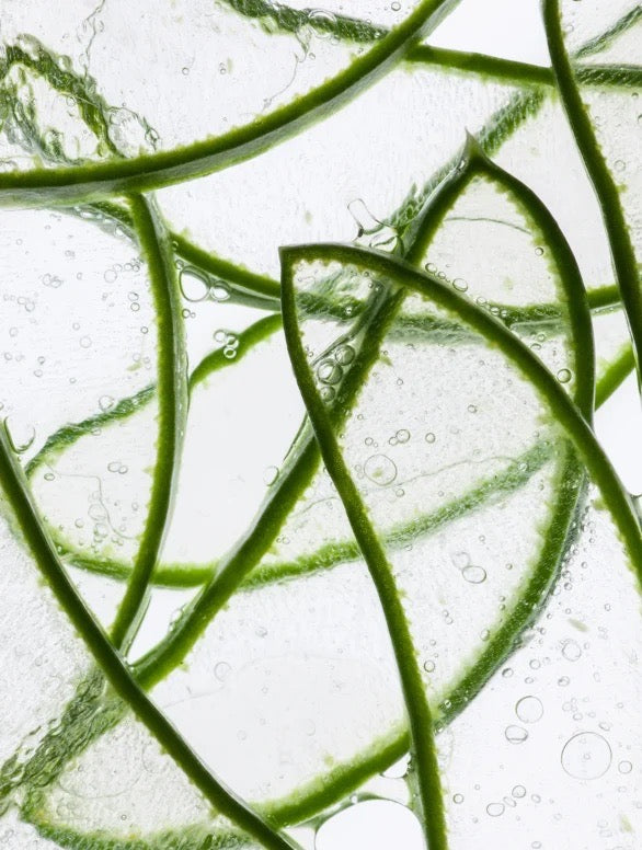 Patchs anti-âge pour les yeux à base d'hydrogel