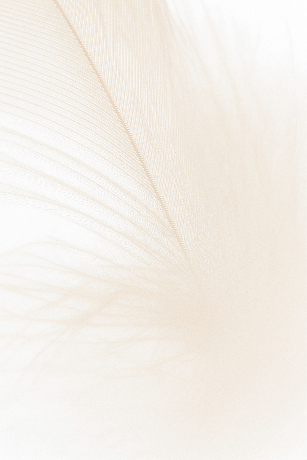 HydraEyes-Contour des yeux hydratant